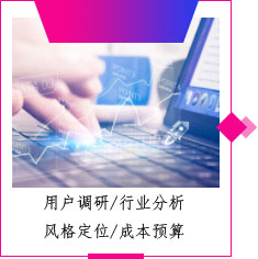 用户调研/行业分析 风格定位/成本预算