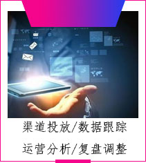 渠道投放/数据跟踪 运营分析/复盘调整